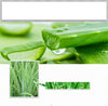 Oil Control Moisturizing Skin Care Blackhead Reduction, Pore Tightening & After-Sun Repair