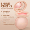 Luminous Powder Blush Set